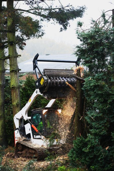 mini gosenični nakladalnik bobcat T770 9:16
